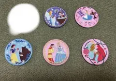 ぴの様専用 ディズニー刺繍缶バッジ