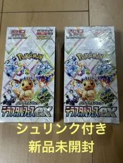 2026年最新】テラスタルフェスex BOX 未開封の人気アイテム - メルカリ