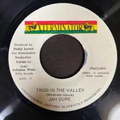 ⑦Jah Cure / Trod In The Valley