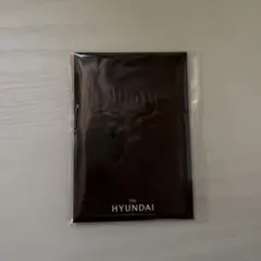 TWS THE HYUNDAI 未公開フォトカードセット