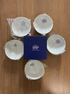 【未使用】たち吉　Adam＆Eveマルチボウル×5 絵変わり 皿 セット 食器