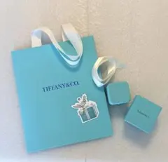Tiffany & Co. リングケース ブルーボックスギフト セット　現行品