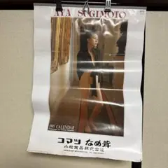 AYA SUGIMOTO 1995 カレンダー