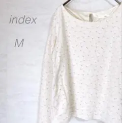【インデックス】美品 起毛フラワーレースブラウス(M)白 フェミニン シンプルのサムネイル