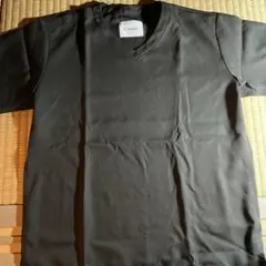 Item thumbnail for item 67383492-ee1d-4e43-b7a5-181cf92e2134