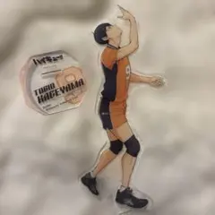 影山飛雄 アクリルスタンド ハイキュー