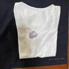 パラスパレス　半袖Tシャツ 花柄のサムネイル
