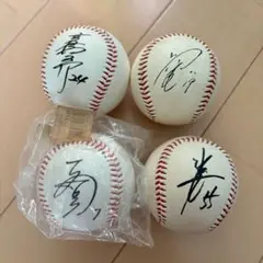 サインボール　レプリカ　松井秀喜　高橋由伸　二岡智宏　上原浩治　巨人　野球