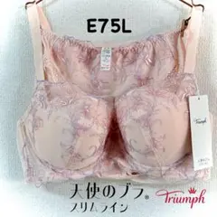 トリンプ 天使のブラ スリムライン 極上ライト634 E75L