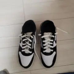 くつNIKE 26cm