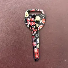 Item thumbnail for item e4290467-9e8c-4476-ad37-2437fd32028d