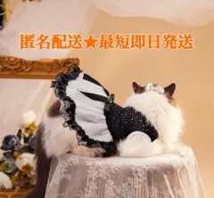 ペット衣装 レース ドレス 白黒【SX】