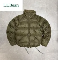 70s 80s L.L.Bean ダウンジャケット ヌプシ型 肉厚 短丈 y2k