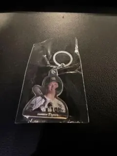 Item thumbnail for item 00d8eb4d-9c42-45da-9693-0bc20d5c2891