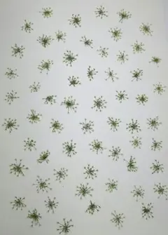 Item thumbnail for item 8df6b62c-fe47-41fc-953c-0c59746c3c87