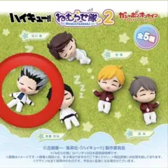 ハイキュー　ねむらせ隊2 木兎光太郎
