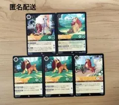 【ロルカナ】『レディ』『トランプ』5枚まとめ売り