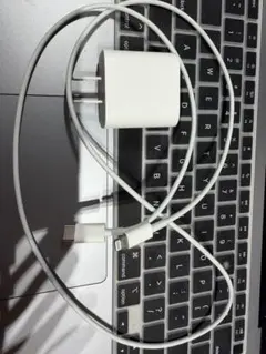Apple纯正＋Type-C to Lightningケーブル セット 20w
