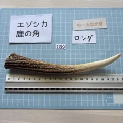 2026年最新】エゾシカのツノの人気アイテム - メルカリ