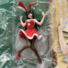 Coreful桜島麻衣　ウインターバニー