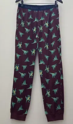 OLD NAVY オールドネイビー　恐竜柄 カジュアルパンツ 【XXL】