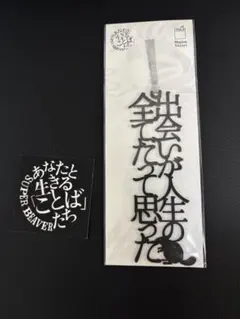 スーパービーバー SUPER BEAVER あなたと生きることばたち しおり2組