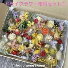 気まぐれ　ドライフラワー　花材セット①ナチュラルフラワー　イエロー