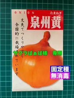 サクラばぁば様 リクエスト 2点 おまとめ商品