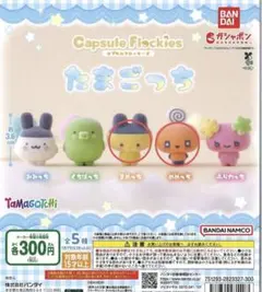 カプセルフロッキーズ　ガチャ　たまごっち　まめっち　めめっち　2個セット