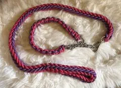 Item thumbnail for item 9123dd9c-a37a-46bf-9836-4bcae61a7ab2