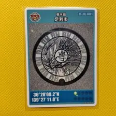 Item thumbnail for item 1b75cef8-94b5-4ca8-ab8c-ed9b301cb928