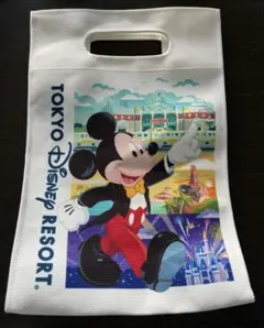 東京ディズニーリゾート ミッキー ミニー バッグ