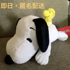 Item thumbnail for item ae82e6f1-c6de-4684-9e22-e5d80d34f636