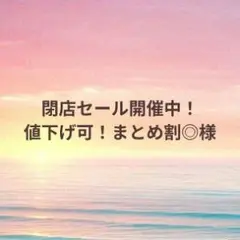 【閉店セール開催中！値下げ可！まとめ割◎様】 オーダーページのサムネイル