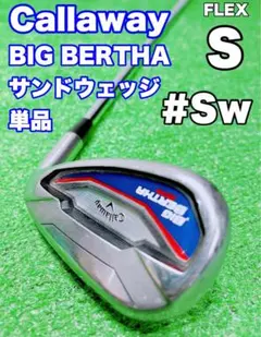 キャロウェイ BIG BERTHA BETA SW アイアン GS90 R300 - メルカリ