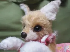 2026年最新】フェネックぬいぐるみの人気アイテム - メルカリ