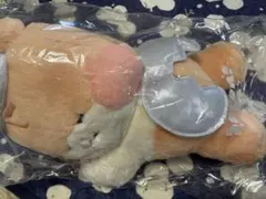 zb1 ゼベワン zeroni エンジェル ぬいぐるみ ハンビン ビニニ ラスト