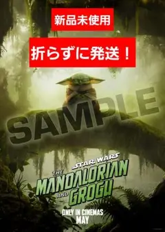 マンダロリアン＆グローグー IMAX入場者特典第3弾ポスター② - メルカリ