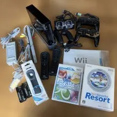 Wii 本体　コントローラー　ヌンチャク　周辺機器　ぷよぷよ　スポーツリゾート