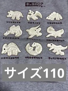 訳あり新品 バンダイ　キャラパキ 発掘恐竜チョコ　裏起毛　110 トレーナー