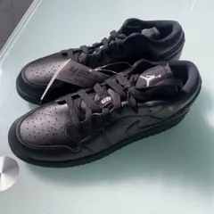 Item thumbnail for item c3e16a8a-724c-4978-a840-08f5772b7f82