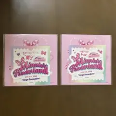 ミニーのファンダーランド パルパルーザ 卒業しない旅行 ステッカー　2枚セット