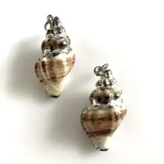 貝殻製チャーム 2個セット