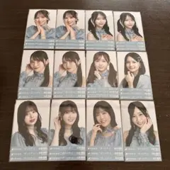 乃木坂46 チートデイ 生写真 まとめ売り