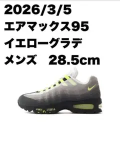 NIKE AIRMAX 95 BIG BUBBLE NEON 2026 28.5
