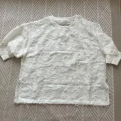 Item thumbnail for item fe24a014-d2a6-4f7e-babd-e6956fd8de96