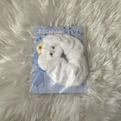 【新品・未開封】JOCHUM シュシュ RURU 白岩瑠姫