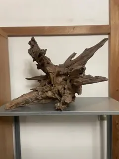 Item thumbnail for item 0611ca55-d68e-43d9-97d3-c014799e8b13