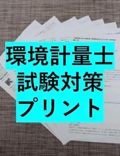 日本史 プリント 河合塾 坂本勝義 先生 まとめ売り - メルカリ