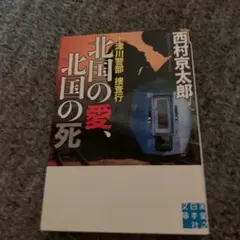 値下げ‼︎十津川警部捜査行 北国の愛、北国の死